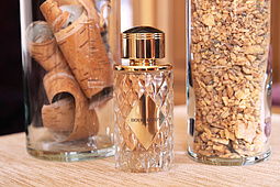 Лесная парфюмерия, или Древесные ароматы